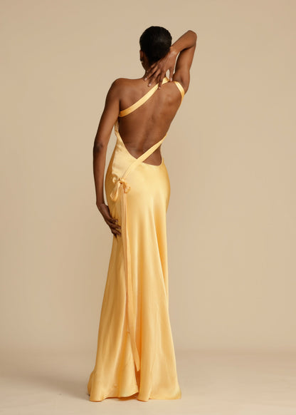 AVEEKO - ELEGANT SATIN CURVE DRESS