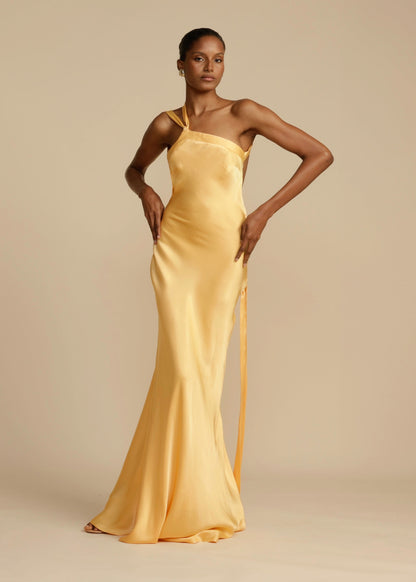 AVEEKO - ELEGANT SATIN CURVE DRESS