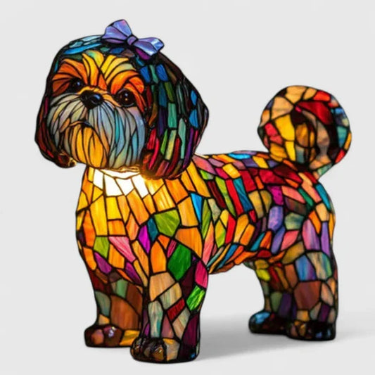 The Magical Enchantment of the Princess